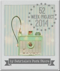 52 Week Project 2014