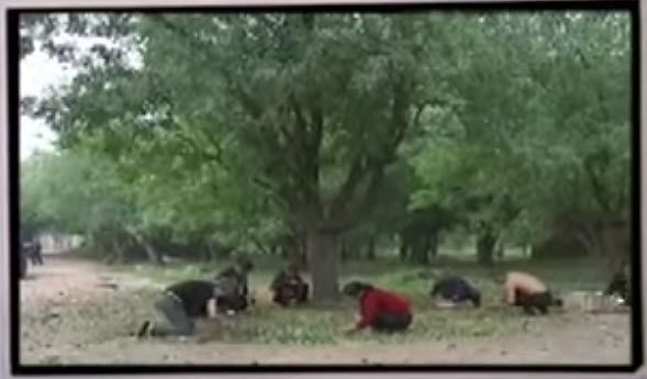  photo 12-13-20142-31-27PM_zps1d4ef65f.jpg