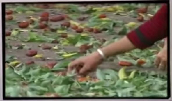  photo 12-13-20142-32-30PM_zpsa9133c2e.jpg