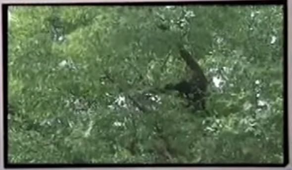  photo 12-13-20142-33-06PM_zpsfbe2aa0a.jpg