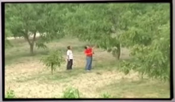  photo 12-13-20142-33-51PM_zpse7c461a4.jpg