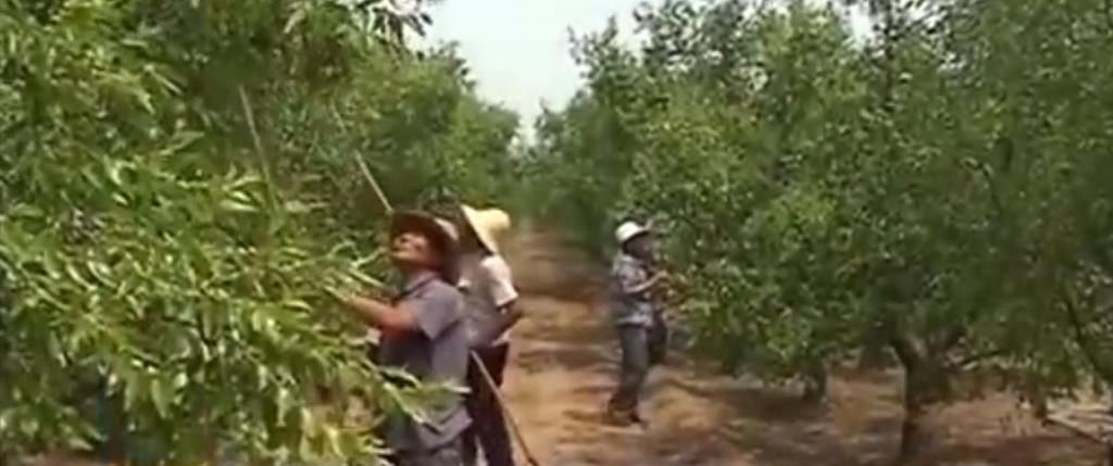  photo 12-13-20143-01-40PM_zps334560aa.jpg