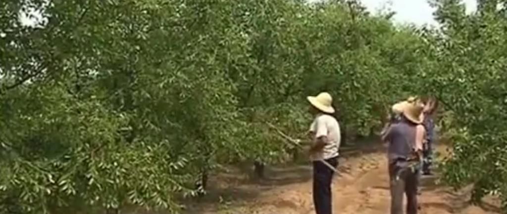  photo 12-13-20143-02-17PM_zps63c2e289.jpg