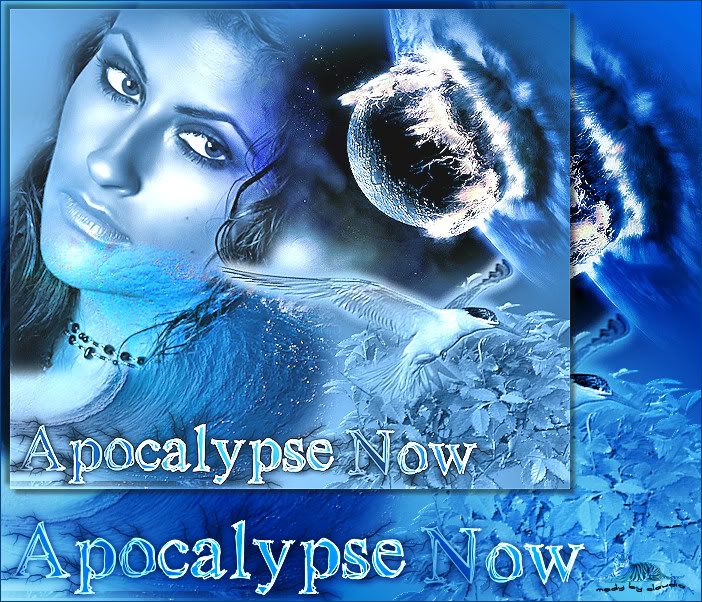 Les : Apocalypse Now van Sille