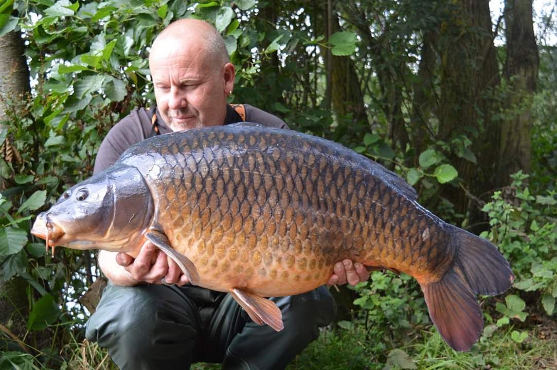 19th August Gary Denniss 37lb 02oz from Kingfisher photo 3702.jpg