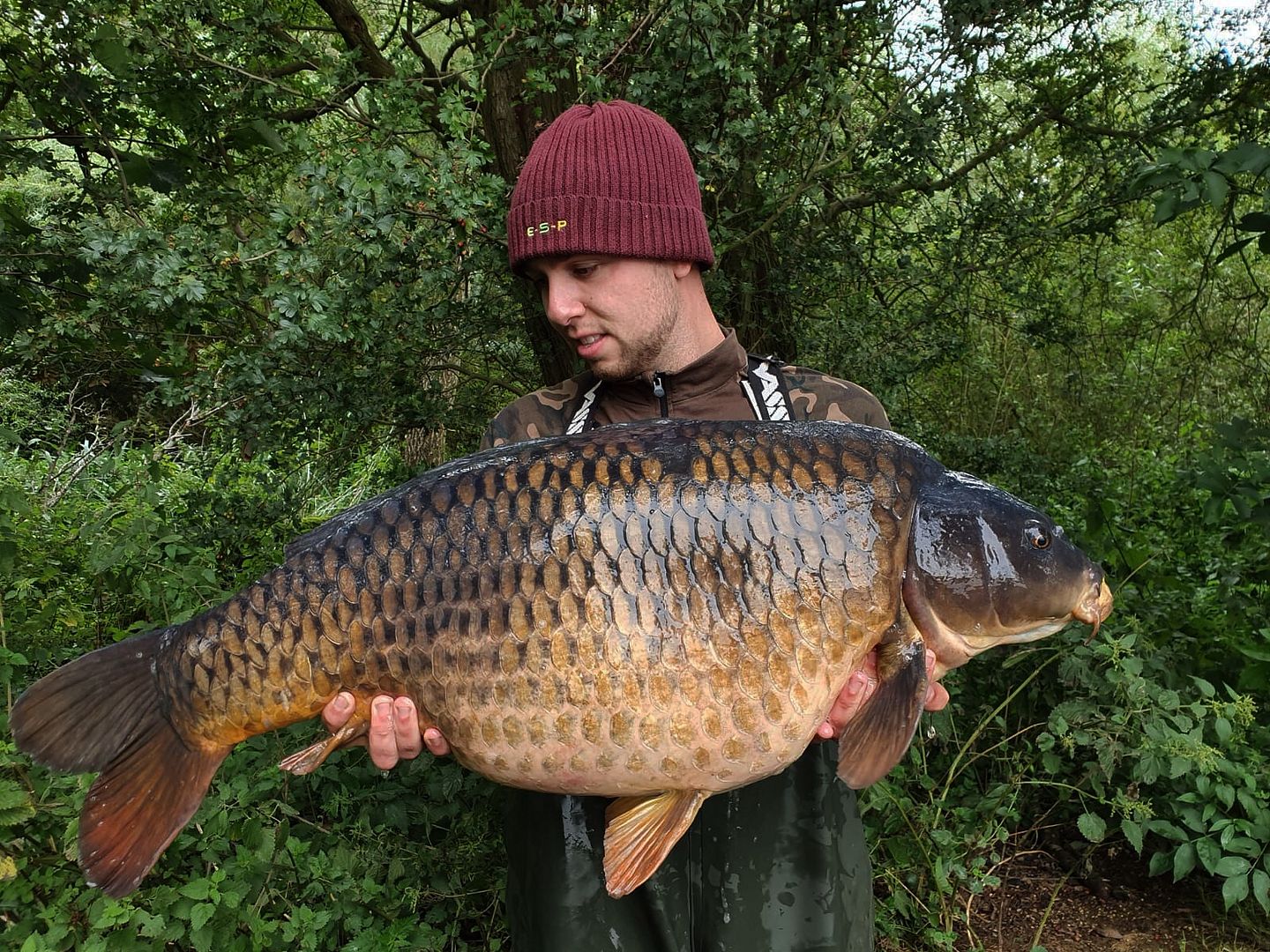 16th August Dan Bowles 42lb 12oz from Swan photo 4212.jpeg