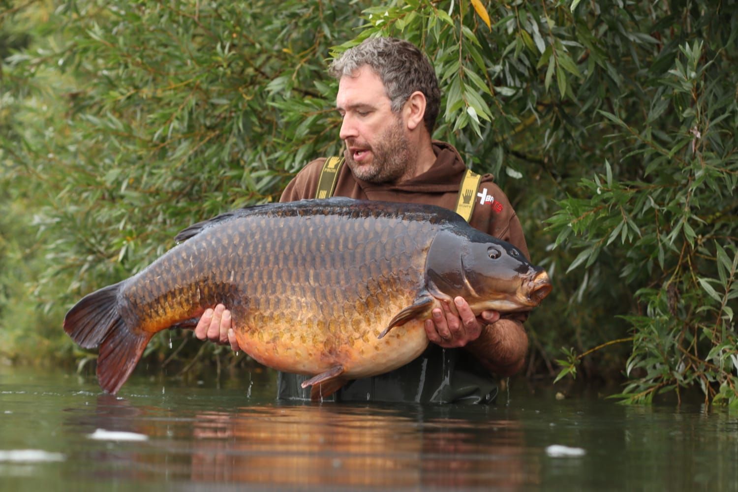 16th September Jason Holden49lb 08oz from Kingfisher photo 4908.jpeg