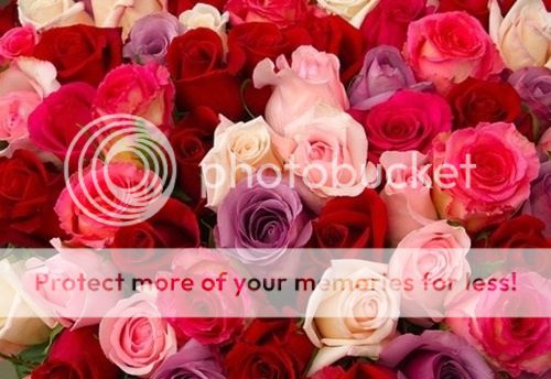 http://i1276.photobucket.com/albums/y462/staffpicks/Flowers/fl8.jpg