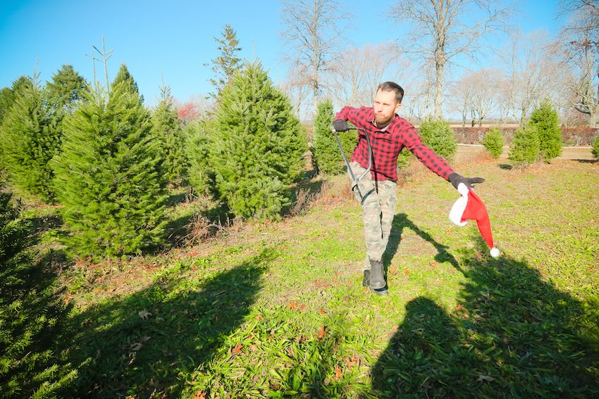 christmas tree farm