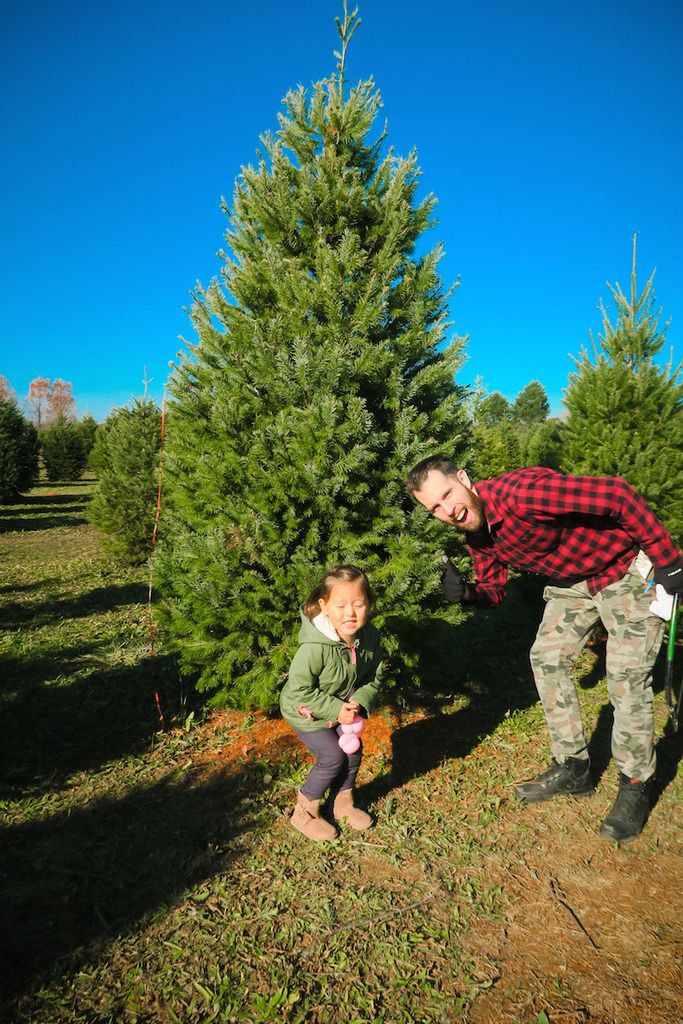 christmas traditions