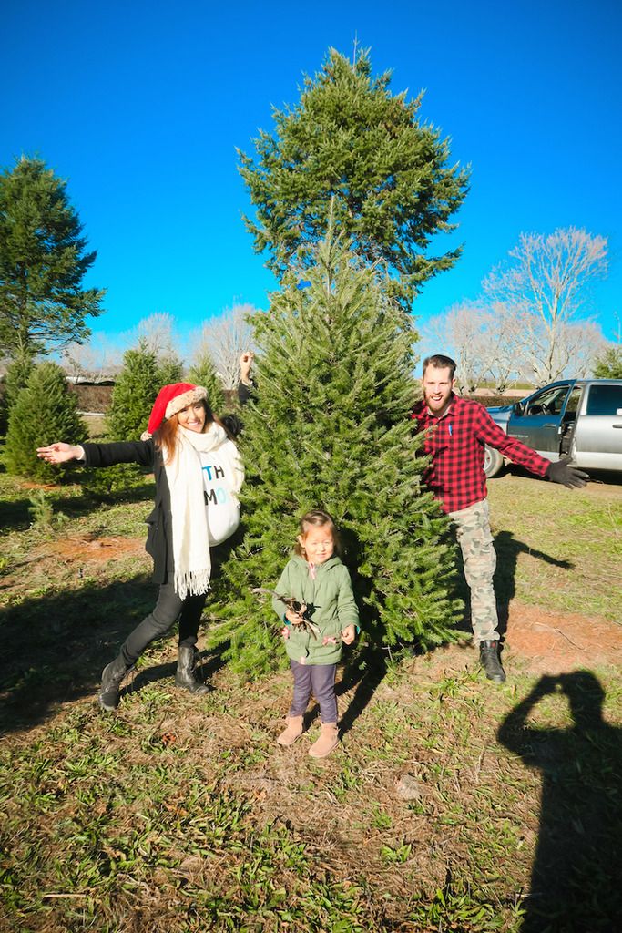 finding a christmas tree