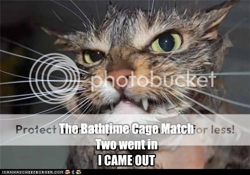 The New Catchat Thread - Page 25 Bathcat_zpsc251b9ec