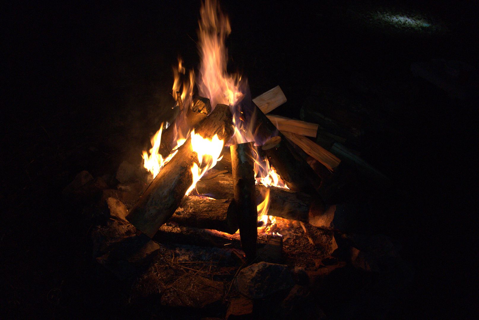 P1080843_zps2771ab62.jpg